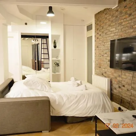 Magnificient Parisian Flat - Parisian Heart-2